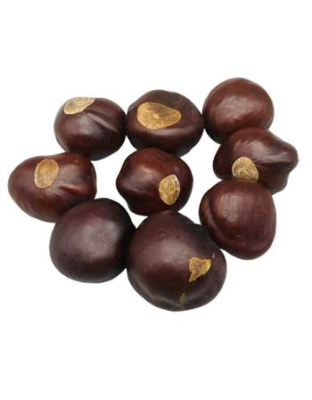 1 Lb Buckeyes whole