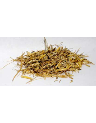 1 Lb Witches Grass cut (Agropryon repens)