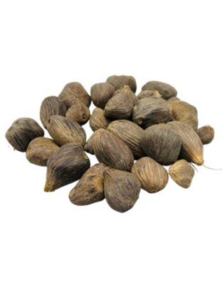1# Ikin 3 Eyes (Palm Oil Seed)