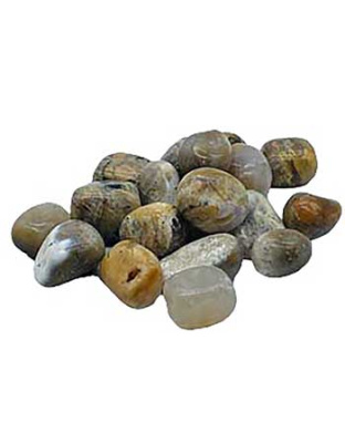 1 lb Agate, Dendritic tumbled