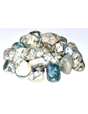 1 lb Agate, Tree tumbled stones