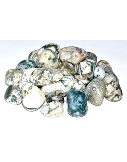 1 lb Agate, Tree tumbled stones