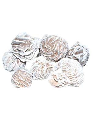 1 lb Desert Rose