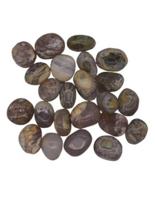 1 lb Opalized Petrified Wood tumbled stones