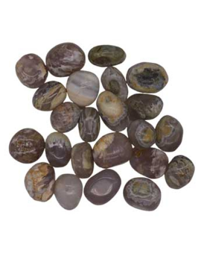 1 lb Opalized Petrified Wood tumbled stones