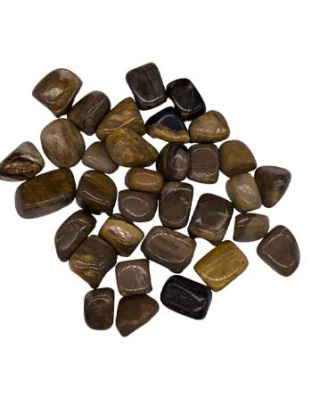 1 lb Petrified Wood tumbled stones