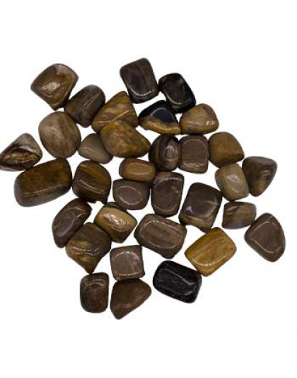1 lb Petrified Wood tumbled stones