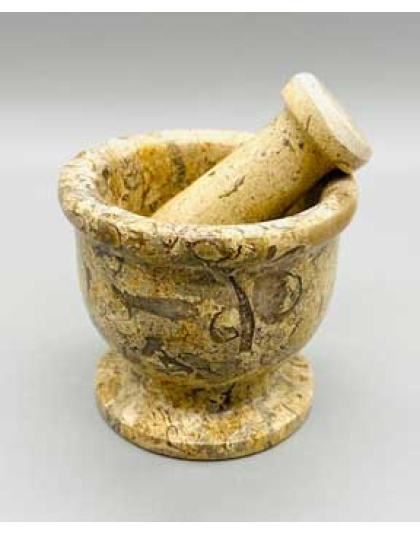 2 1/2" Fossil Coral mortar and pestle set