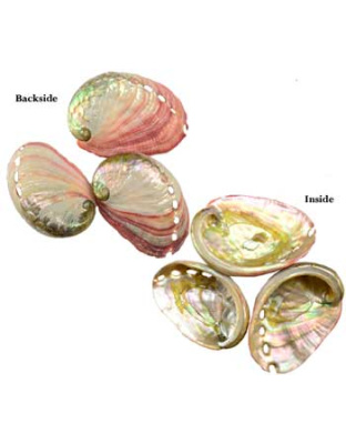 2" - 3" Abalone Shell incense burner