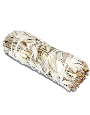4" White Sage smudge stick