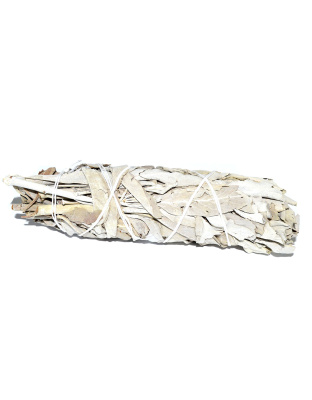 5" Sage smudge stick