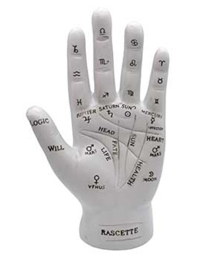 7" Palmistry Hand
