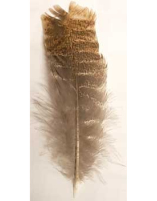 Barred Wing Smudging Feather