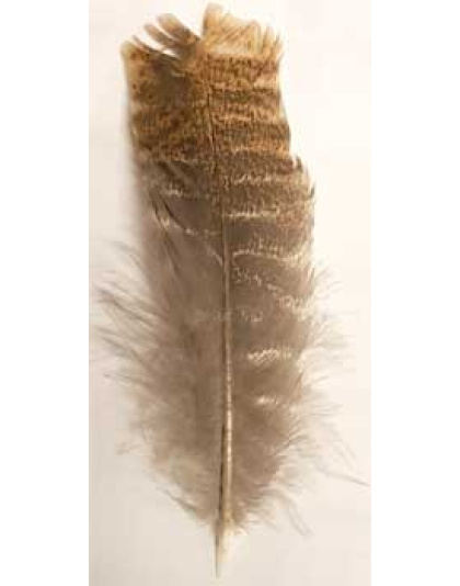 Barred Wing Smudging Feather