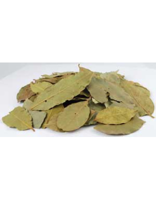 Bay Leaves, whole 2oz (Laurus nobilis)