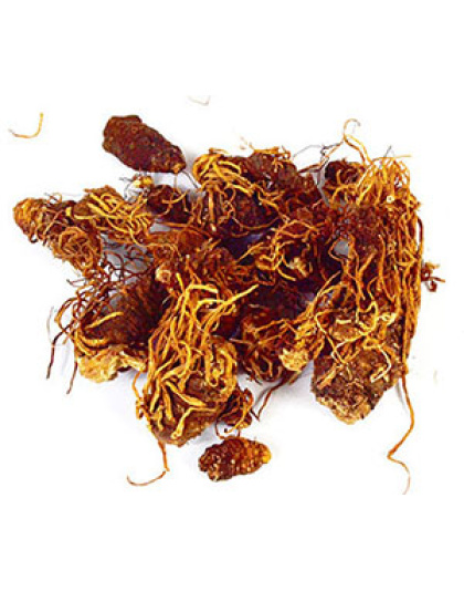 Beth Root whole 2oz