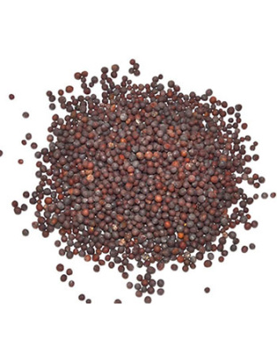 Brown Mustard Seed 1oz