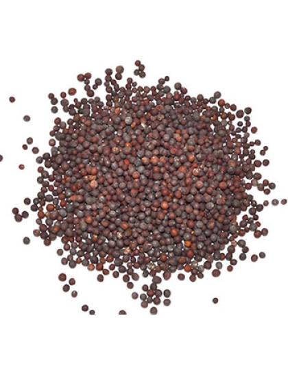 Brown Mustard Seed 1oz