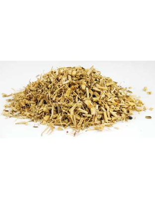 Dog Grass Root cut 1oz (Agropyron repens)