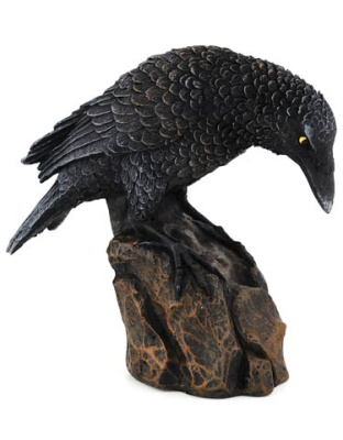 Downward Looking Raven 5 1/2"