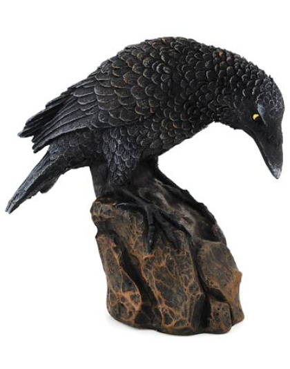 Downward Looking Raven 5 1/2"