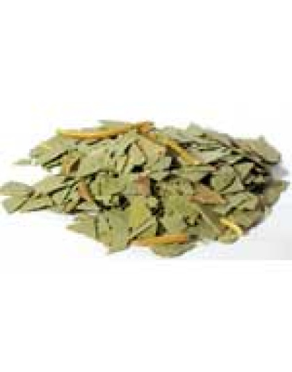Eucalyptus cut 1oz  (Eucalyptus globulus)