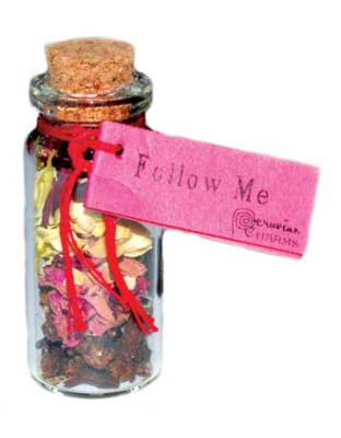 Follow Me pocket spellbottle