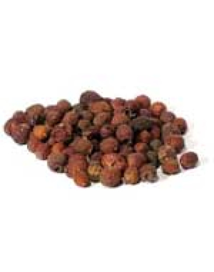 Hawthorn Berries whole 1oz  (Crataegus laevigata)