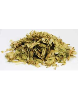 Hops Flowers, whole 1oz (Humulus iupulus)