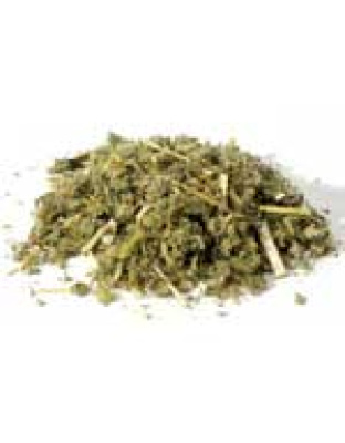 Horehound cut 1oz  (Marrubium vulgare)
