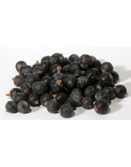 Juniper Berries Whole 2oz (Juniperus communis)