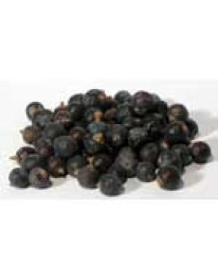 Juniper Berries whole 1oz  (Juniperus communis)