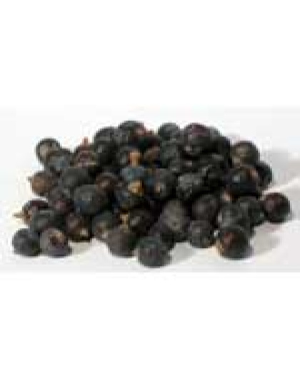 Juniper Berries whole 1oz  (Juniperus communis)