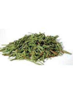 Lemongrass cut 1oz (Cymbopogon citratus)