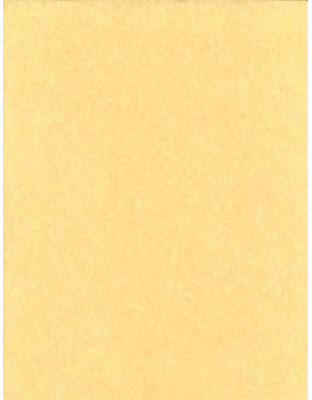 Light Parchment 5 Pack (8 1/2" x 11")