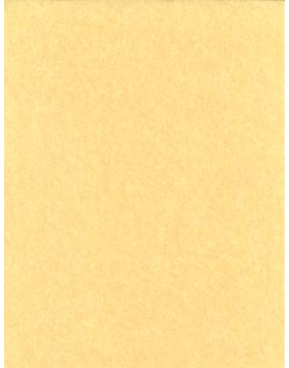 Light Parchment 5 Pack (8 1/2" x 11")