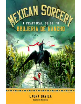 Mexican Sorcery by Laura Davila