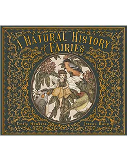 Natural History of Fairies (hc) by Hawkins & Roux