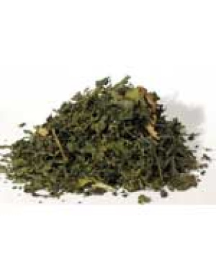 Nettle "Stinging" Leaf cut 1oz  (Urtica dioica)