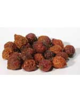 Rose Hips whole 1oz  (Rosa canina)