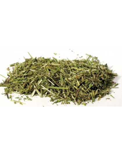 Scullcap cut 1oz (Scutellaria lateriflora)