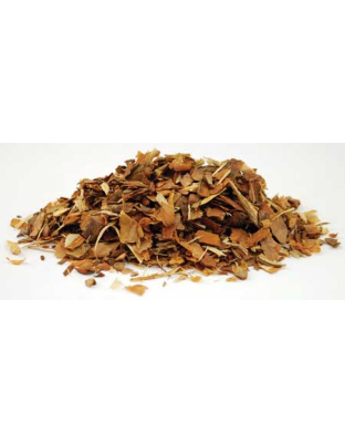 White Pine Bark cut 2oz (Pinus strobus)