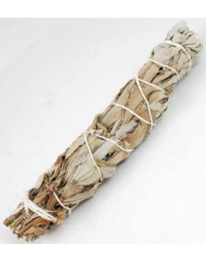 White Sage smudge stick 6-7" unbagged