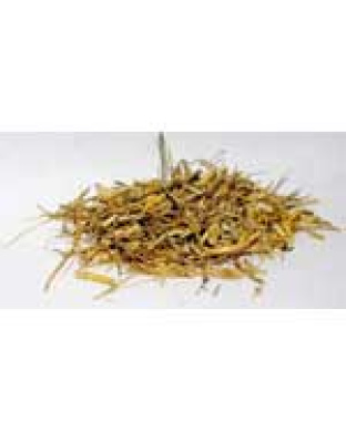 Witches Grass cut 1oz (Agropyron repens)