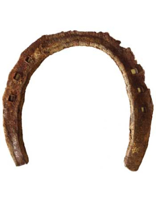 used Horseshoe